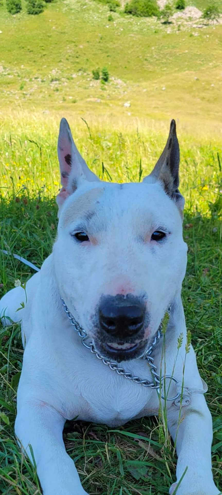 Kaya