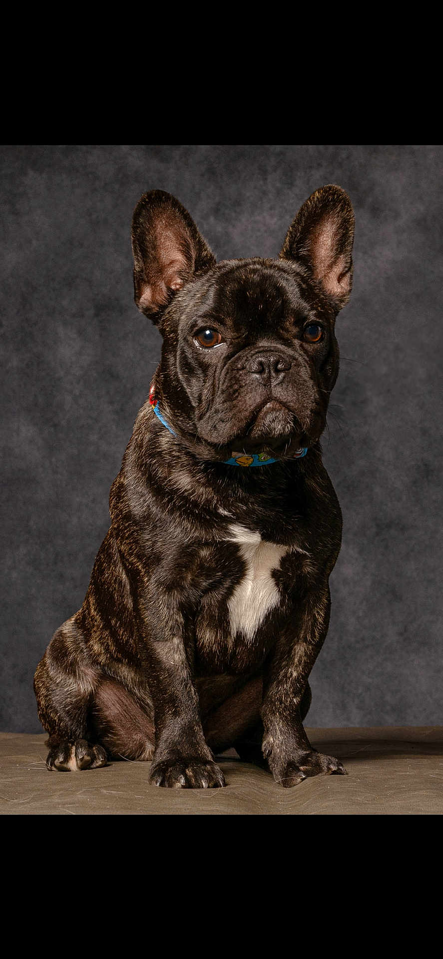 Pumba