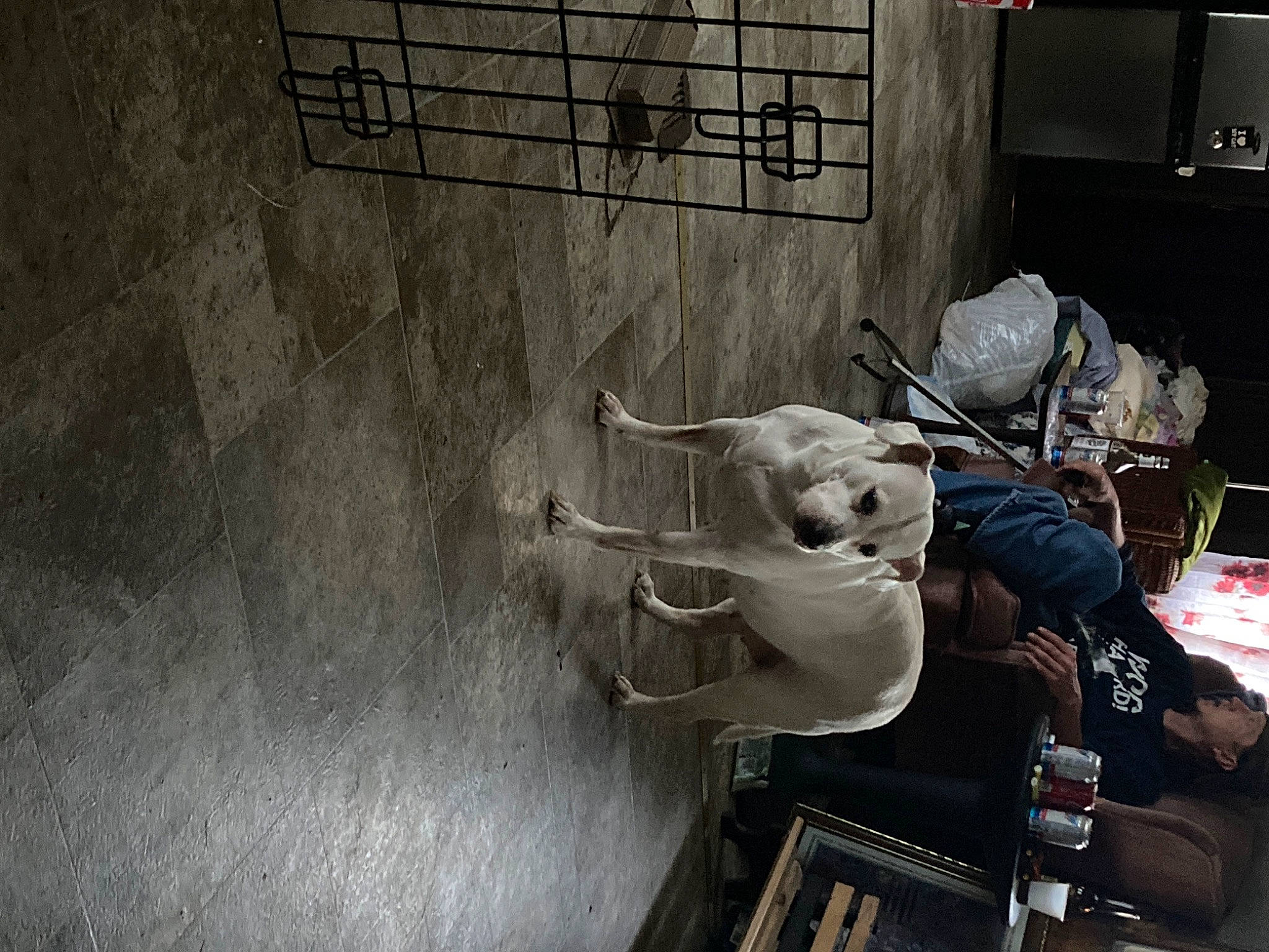 Ruthie joined the competition — help win amazing prizes! adventure, art, auto_part, concrete, fictional_character, grey, guitar, hat, machine, metal, musical_instrument, musician, room, sculpture, shadow, street, visual_arts, wood