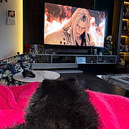 Blackberry joined the competition — help win amazing prizes! living_room, television, video_game, blanket, black_fur, pet, dog_or_cat, table, controller, decor, shelf, lighting, modern, cozy, furniture, indoor, entertainment, relaxation, screen, couch