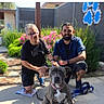 casual_clothing, crouching, daytime, dog, fence, flowers, glasses, gray_dog, greenery, happy, leash, outdoor, paw_print, person, shorts, sidewalk, smiling, sunlight, tattoo, watch
