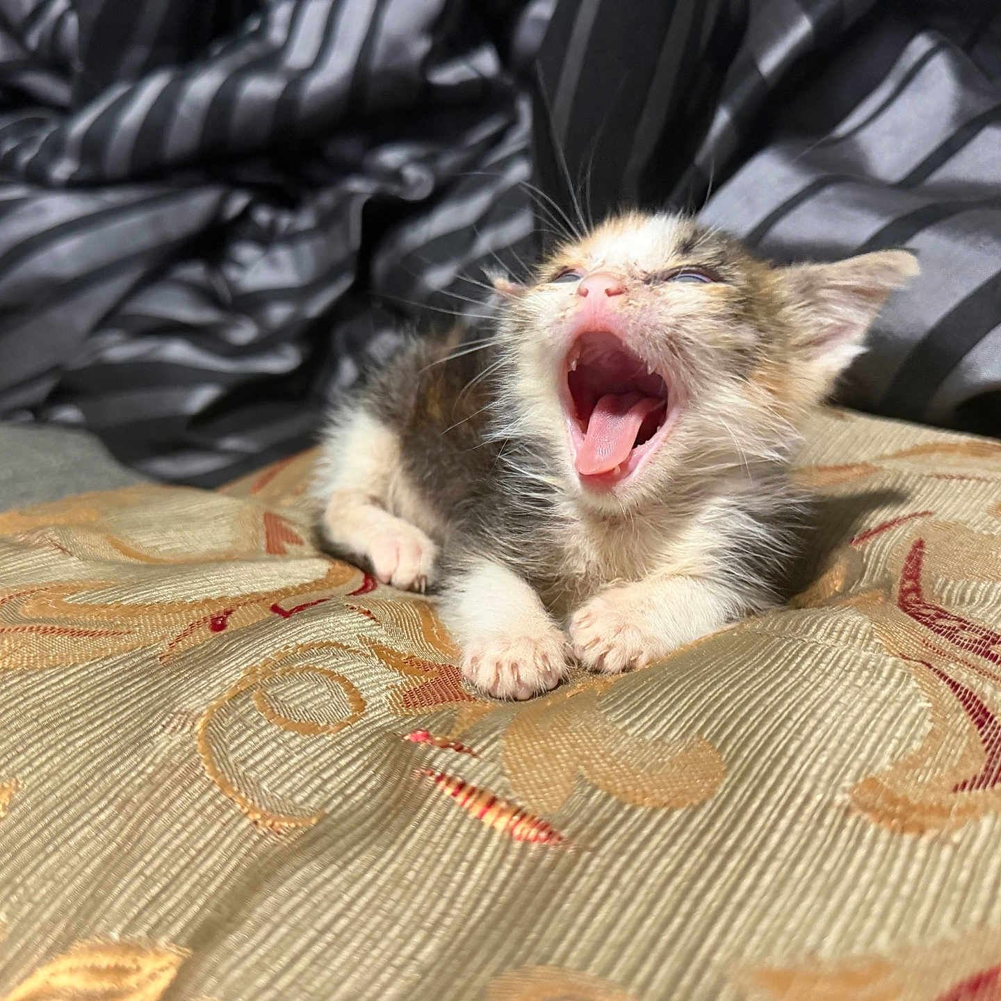 Winnie