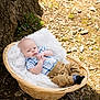Benjamin joined the competition — help win amazing prizes! baby, basket, bed, clothing, crib, face, furniture, head, hosiery, infantbed, newborn, pants, person, photography, portrait, rock, sitting, sleeping, sock, soil