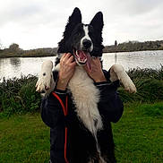 Bandy a rejoint le concours — aidez-le/la à gagner de superbes lots ! animal, black_and_white, canine, cloudy, dog, fur, grass, greenery, happy, holding, lake, leash, nature, outdoor, park, person, playing, sky, tongue_out, water