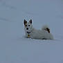 Titou participe au concours pour gagner de l'argent avec cette photo :