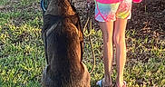 Abel is registered to the contest to win money with this photo: animal, back_view, canine, child, daylight, dog, friendship, grass, leash, nature, outdoor, park, person, pet, pink_shirt, shorts, summer_clothing, sunlight, toy, walking