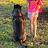 animal, back_view, canine, child, daylight, dog, friendship, grass, leash, nature, outdoor, park, person, pet, pink_shirt, shorts, summer_clothing, sunlight, toy, walking