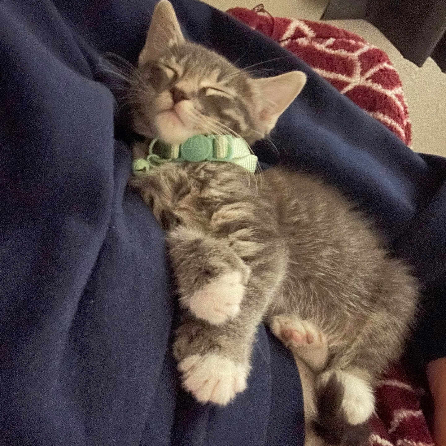 Gandalf