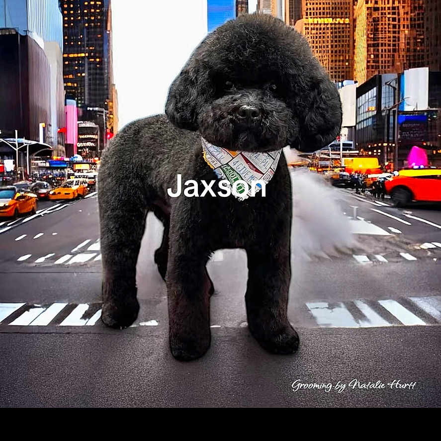 Jaxson