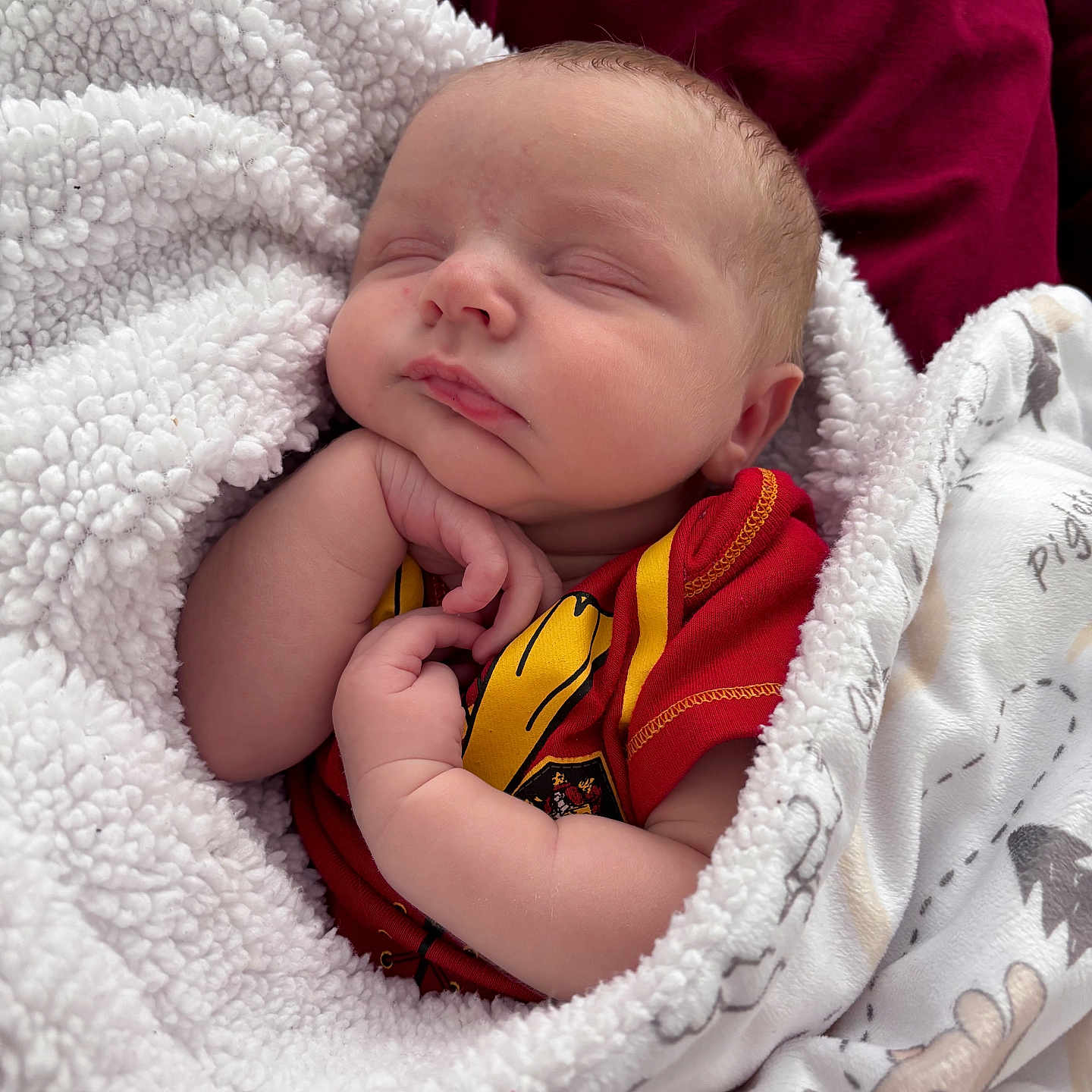 Jameson joined the competition — help win amazing prizes! baby, sleeping, blanket, red_shirt, hand, face, infant, soft_texture, cozy, portrait, cute, child, peaceful, wrapped, resting, newborn, skin, indoors, comfort, warm