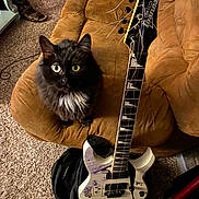 Beatrix joined the competition — help win amazing prizes! cat, black_cat, green_eyes, couch, brown_couch, electric_guitar, white_guitar, carpet, indoor, pet, furniture, string_instrument, musical_instrument, seated_cat, home, cozy, orange_controller, guitar_strings, black_backpack, floor