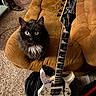 cat, black_cat, green_eyes, couch, brown_couch, electric_guitar, white_guitar, carpet, indoor, pet, furniture, string_instrument, musical_instrument, seated_cat, home, cozy, orange_controller, guitar_strings, black_backpack, floor