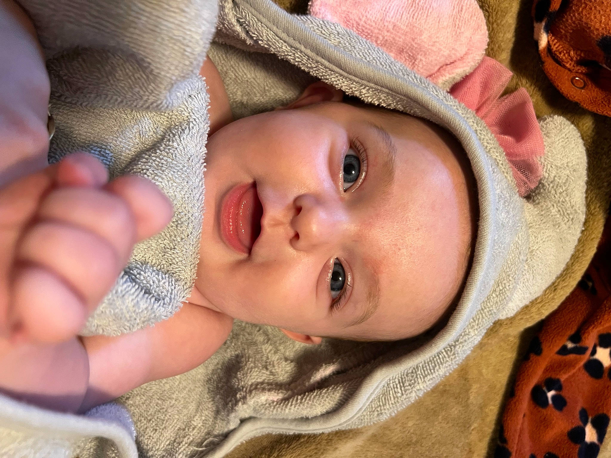 Ariella joined the competition — help win amazing prizes! cheek, chin, eye, eyebrow, eyelash, face, gesture, happy, hat, head, headgear, headwear, human_body, iris, lip, mouth, nose, person, plant, skin