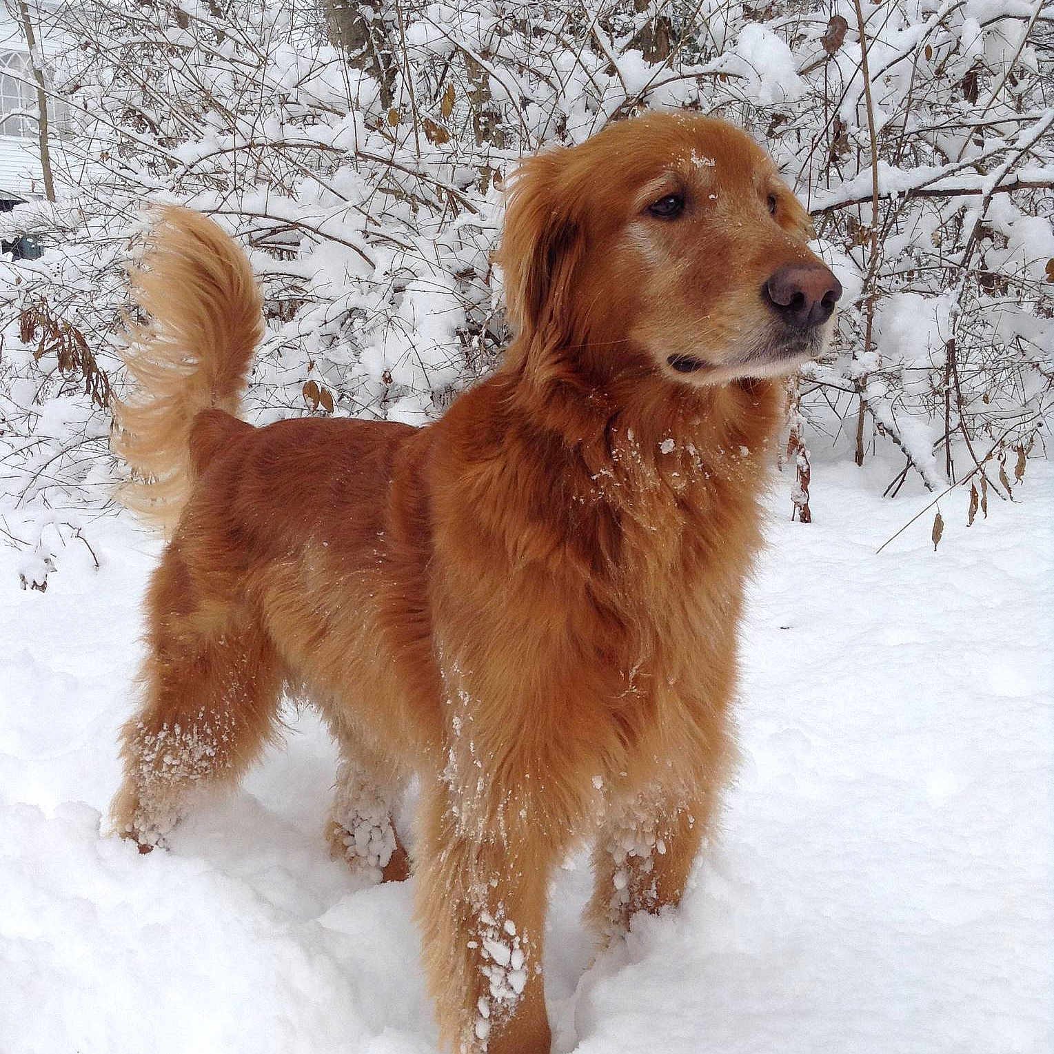 Jaxen joined the competition — help win amazing prizes!