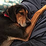 Dex is registered to the contest to win money with this photo: