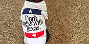 Dex is registered to the contest to win money with this photo: