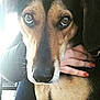 Dex is registered to the contest to win money with this photo: