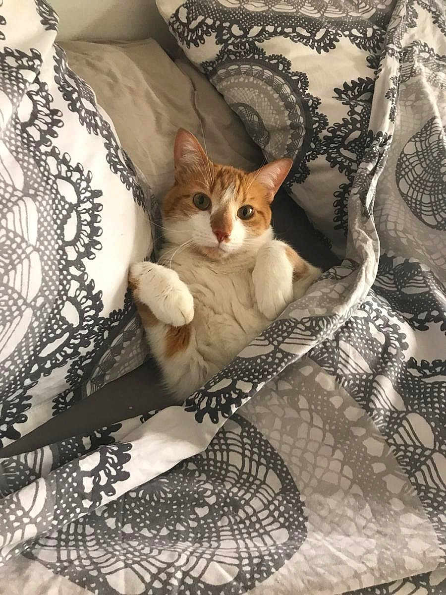 Perla