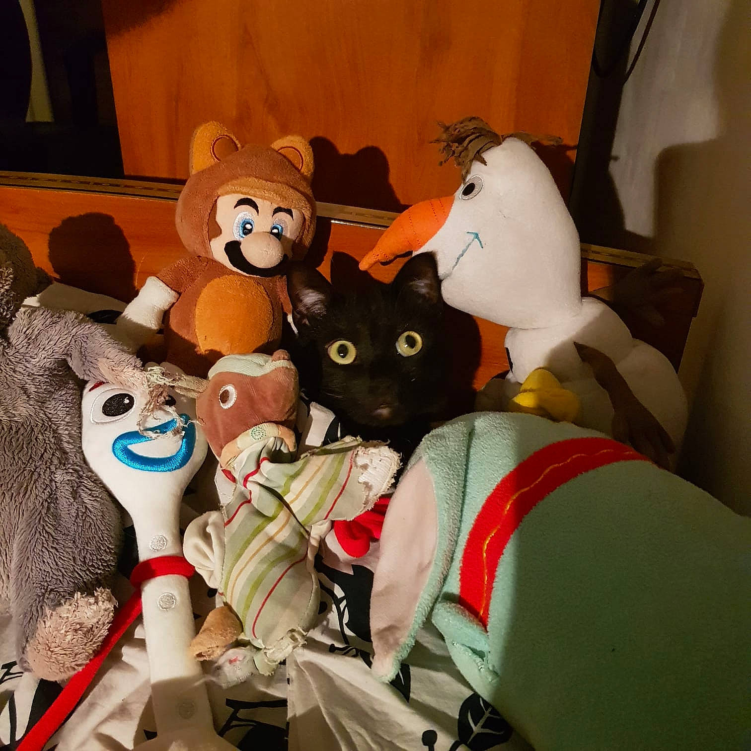 Texas a rejoint le concours — aidez-le/la à gagner de superbes lots ! animated_cartoon, animation, bag, carmine, fawn, felidae, fictional_character, fun, fur, head, headgear, mammal, mascot, plush, snout, stuffed_toy, textile, toy, vertebrate, whiskers