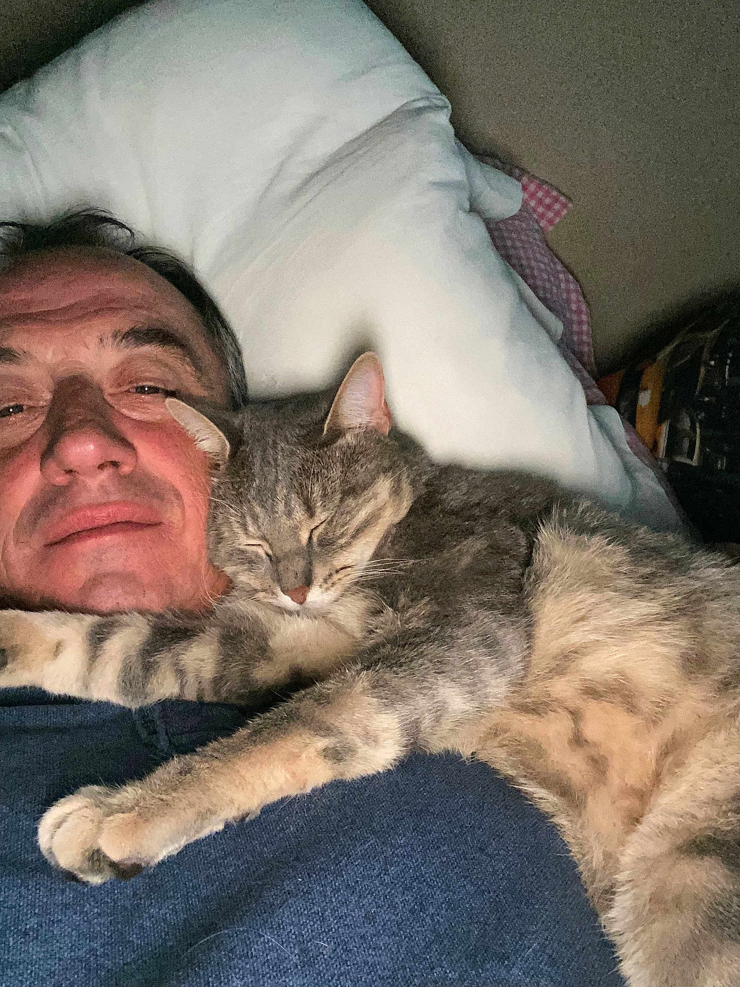 Nout participe au concours pour gagner de l'argent avec cette photo : man, cat, sleeping, cozy, indoor, pillow, relaxed, companion, pet, snuggling, closeup, portrait, resting, casual, comfort, domestic, feline, human, affection, warmth