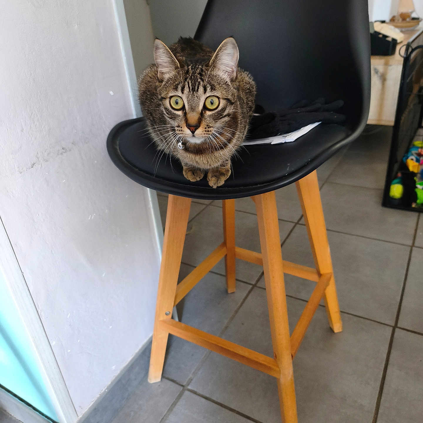 Cosmo