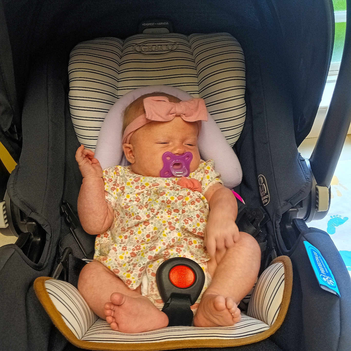 Anneliese joined the competition — help win amazing prizes! baby, baby_clothing, black_car_seat, car_seat, child, closeup, comfortable, floral_dress, foot, hand, headband, indoors, infant, pacifier, pink_bow, safety_harness, sleeping, soft_lighting, striped_cushion, window