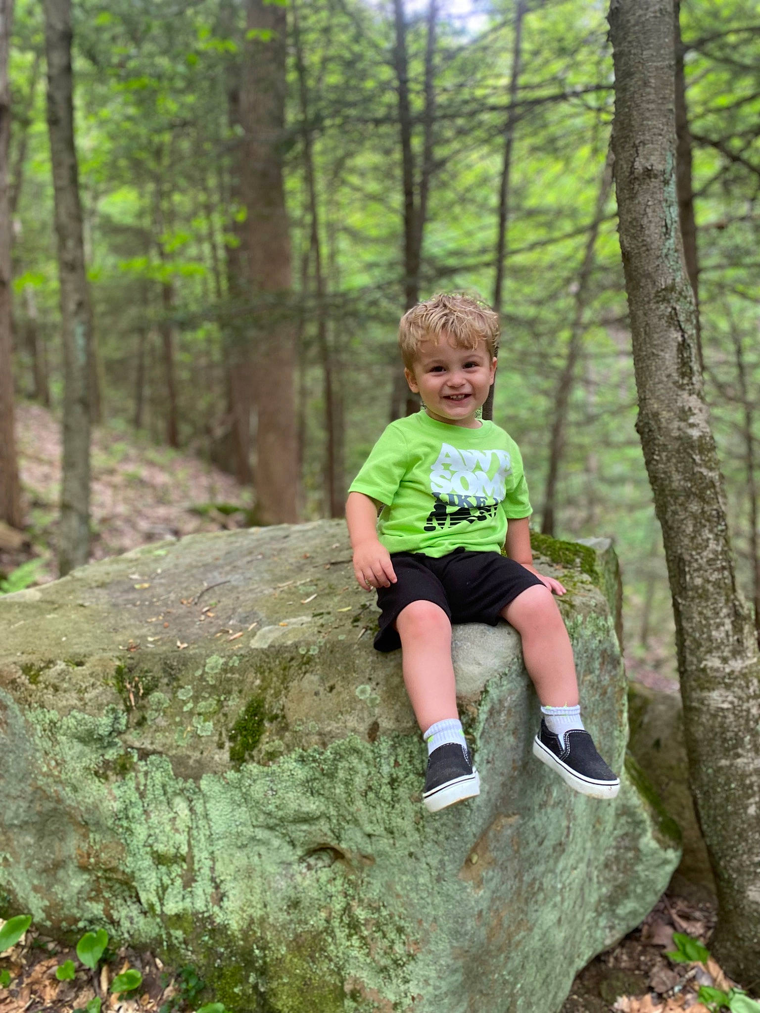 Lochlan joined the competition — help win amazing prizes! blond, branch, forest, grass, grove, joy, leaf, leisure, natural_landscape, people_in_nature, person, plant, recreation, shorts, smile, sneakers, t_shirt, terrestrial_plant, tree, trunk