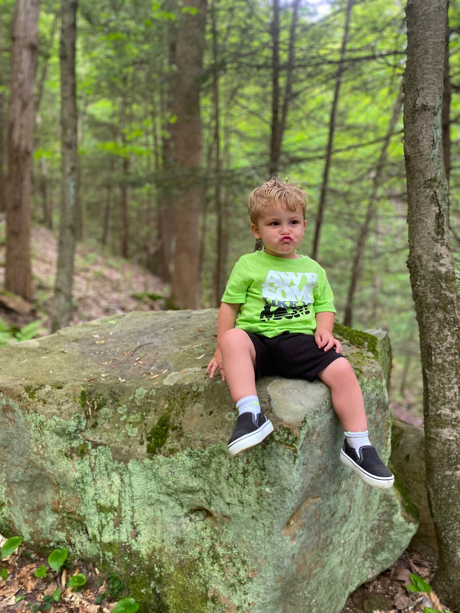 Lochlan is registered to the contest to win money with this photo: blond, branch, ecoregion, forest, grass, landscape, leaf, leisure, natural_landscape, people_in_nature, person, plant, recreation, shorts, t_shirt, temperate_broadleaf_and_mixed_forest, terrestrial_plant, trail, tree, trunk