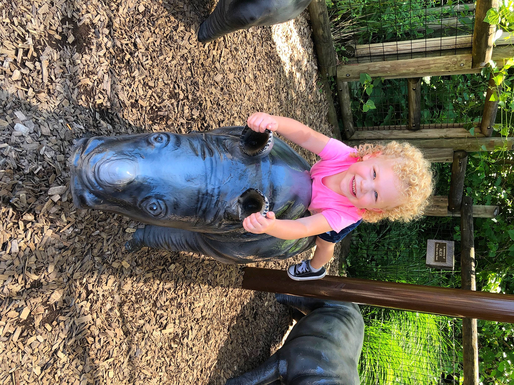 Symphony joined the competition — help win amazing prizes! automotive_tire, city, clothing, denim, electric_blue, fun, grass, human_leg, joy, leisure, outdoor_furniture, people_in_nature, person, plant, playground, recreation, sitting, smile, soil, toddler