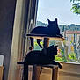 cat, black_cat, cat_tree, window, indoor, sunlight, shadow, silhouette, pet, animal, feline, relaxing, home, nature_outside, tree, building, daylight, quiet, resting, domestic