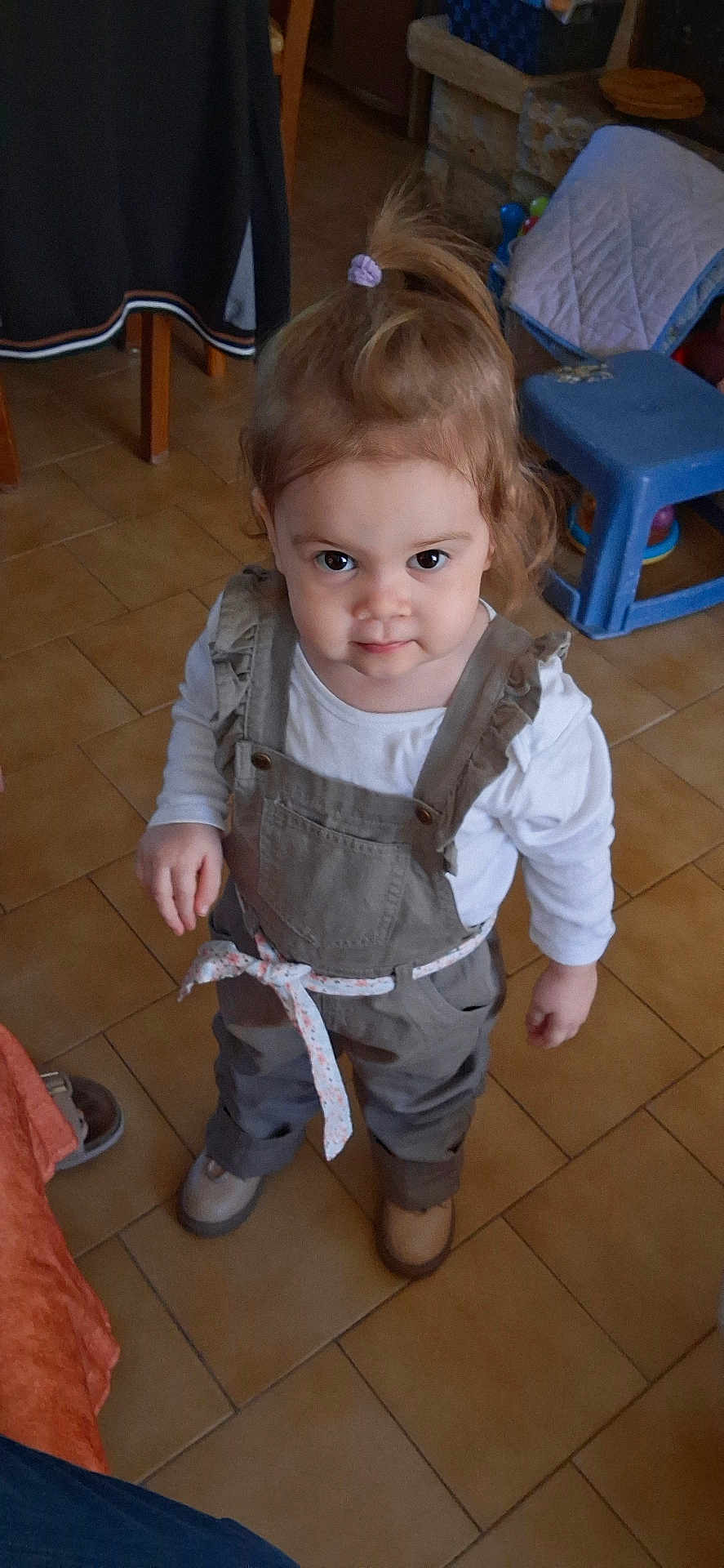 Cataléya
