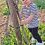 toddler, child, outdoor, nature, tree, grass, sunlight, striped_shirt, black_pants, sandals, greenery, young_child, curious, daylight, person, standing, plant, small_tree, playful, casual_clothing