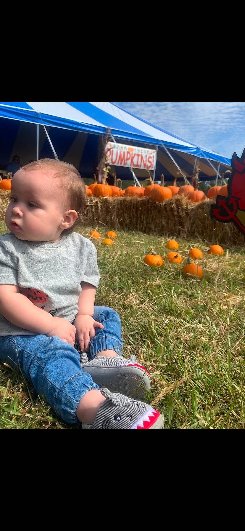 Waylon joined the competition — help win amazing prizes! baby_toddler_clothing, calabaza, clothing, cucurbita, fun, gourd, grass, happy, jeans, lawn, morning, natural_foods, orange, people_in_nature, person, plant, pumpkin, squash, toddler, vegetable