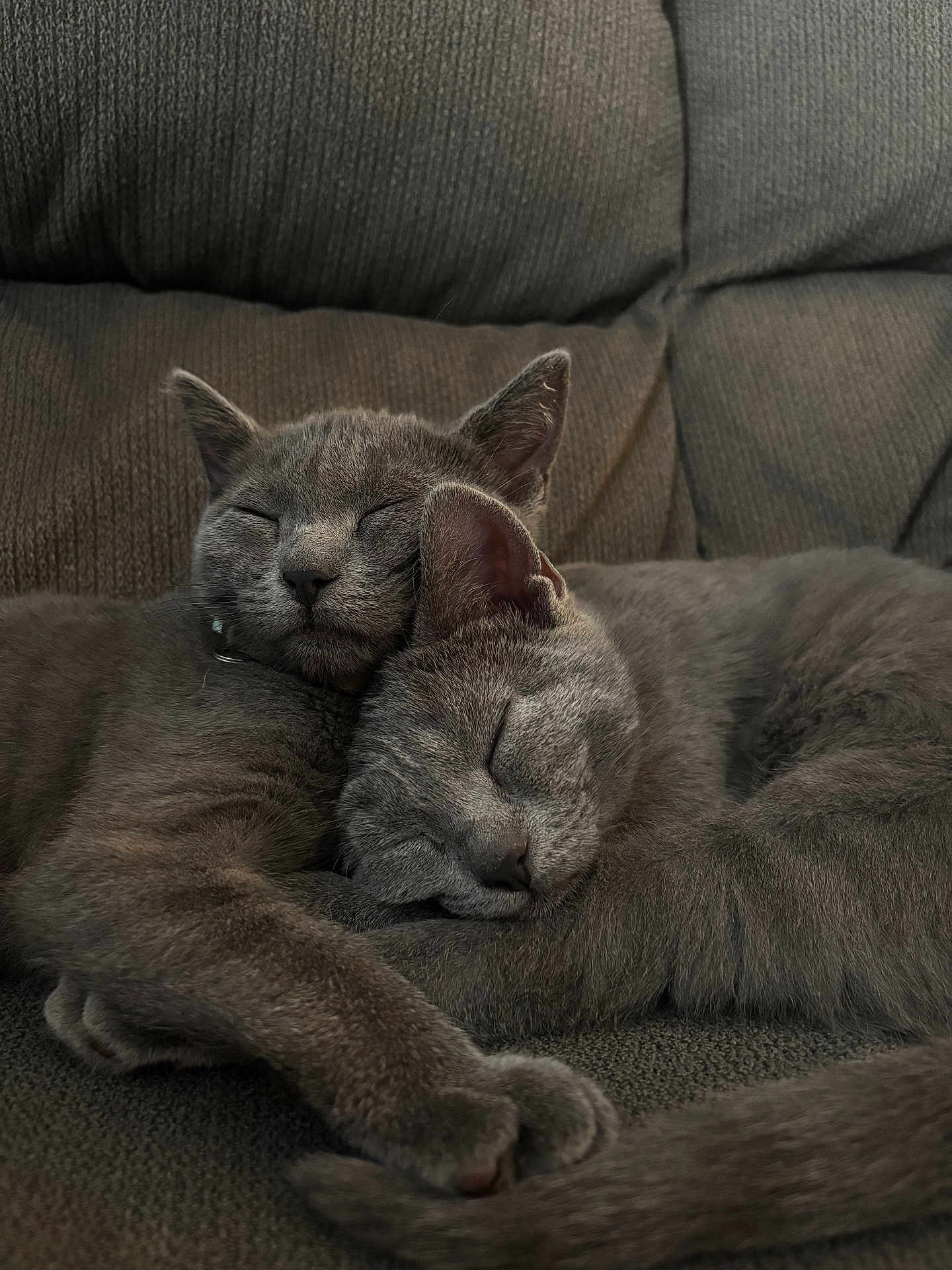 Eve And Gracie