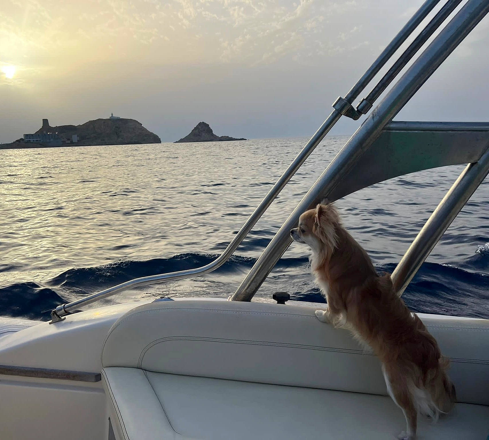 Simba participe au concours pour gagner de l'argent avec cette photo : boat, boats_and_boating_equipment_and_supplies, carnivore, cloud, daytime, horizon, lake, landscape, light, naval_architecture, ocean, recreation, ship, sky, sound, water, water_transportation, watercraft, waterway, windshield