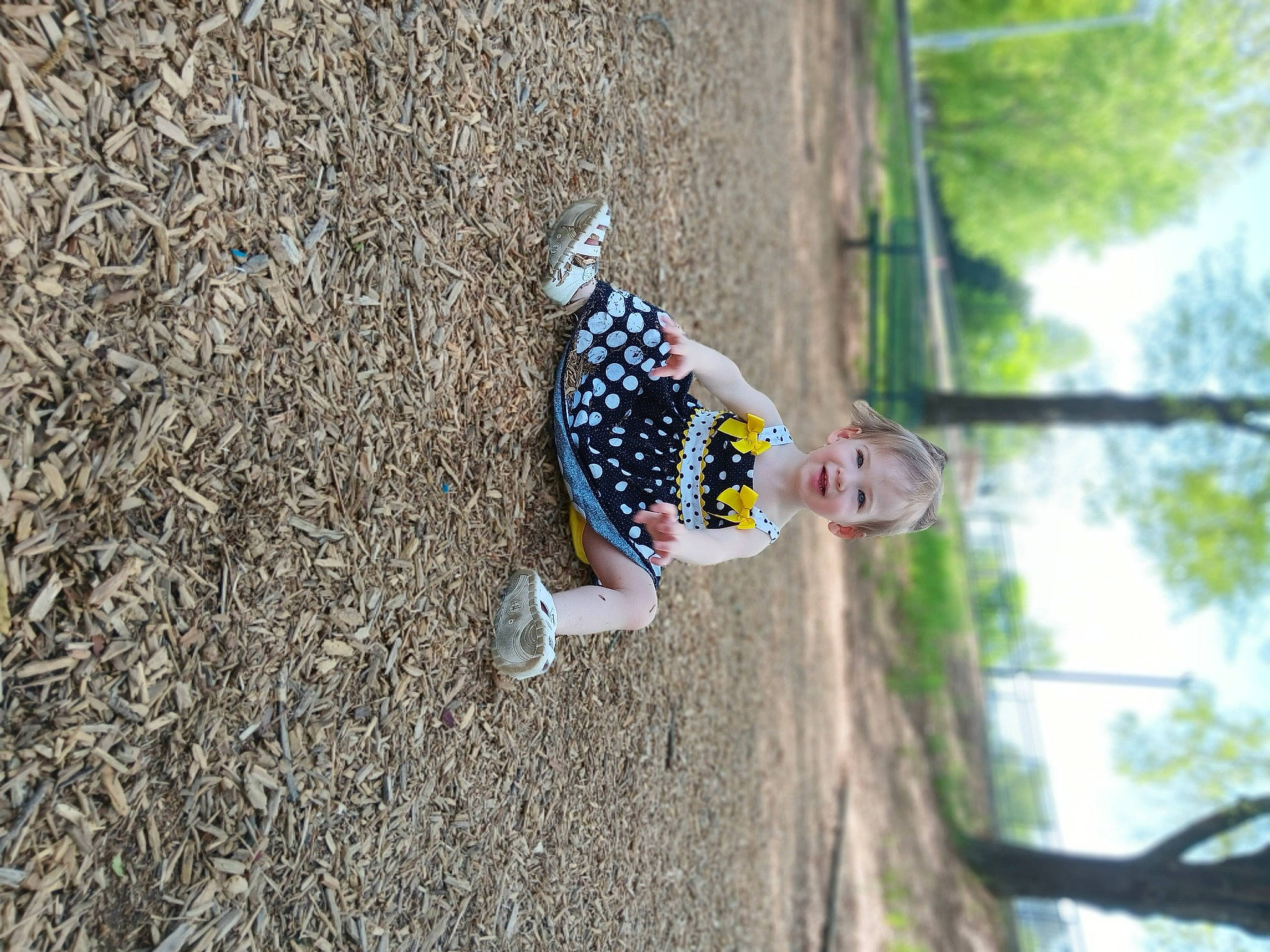 Averie joined the competition — help win amazing prizes! adventure, branch, child, concrete, forest, fun, grass, joy, leisure, people_in_nature, person, plant, recreation, soil, toddler, tree, trunk, twig, wood