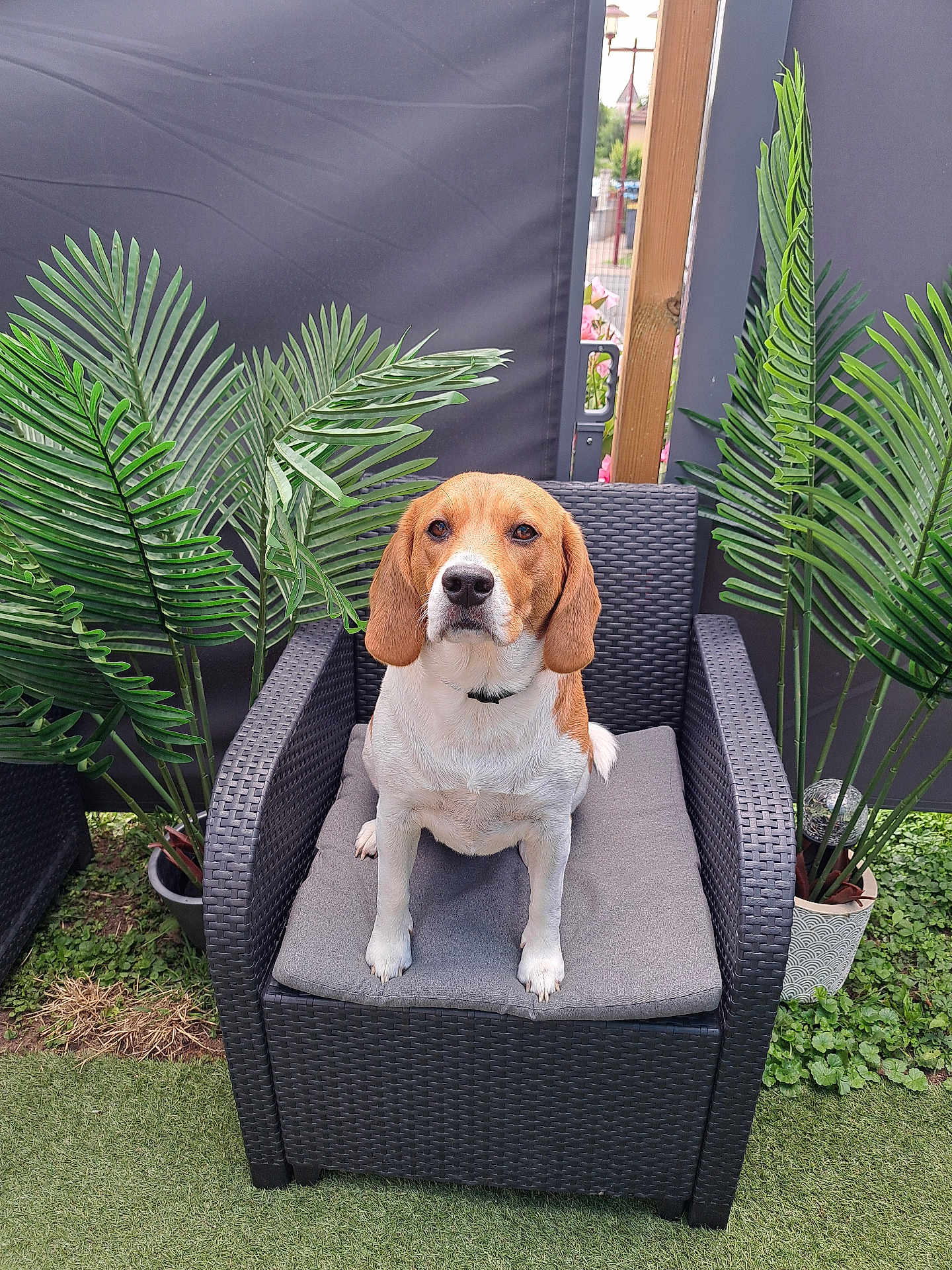 Mia