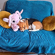 Mia a rejoint le concours — aidez-le/la à gagner de superbes lots ! beagle, dog, plush_toy, elephant, couch, blue_blanket, pillows, mustard_yellow, indoor, pet, sleepy, cozy, furniture, home, relaxing, curled_up, snuggling, soft_texture, resting, animal