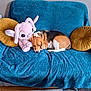 beagle, dog, plush_toy, elephant, couch, blue_blanket, pillows, mustard_yellow, indoor, pet, sleepy, cozy, furniture, home, relaxing, curled_up, snuggling, soft_texture, resting, animal