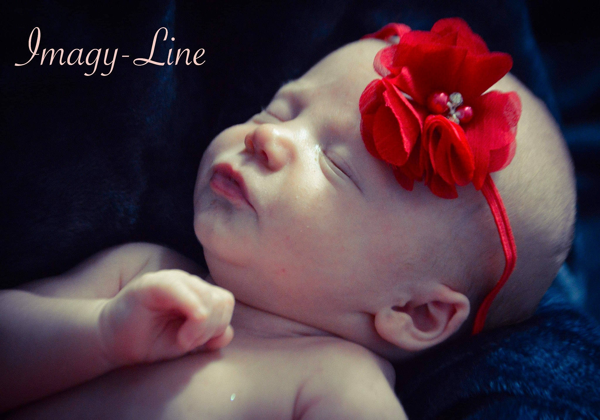 Leïlany participe au concours pour gagner de l'argent avec cette photo : baby, beauty, cheek, child, close_up, flower, hair_accessory, hand, headband, headgear, headpiece, lip, mouth, nose, person, petal, photography, pink, red, skin