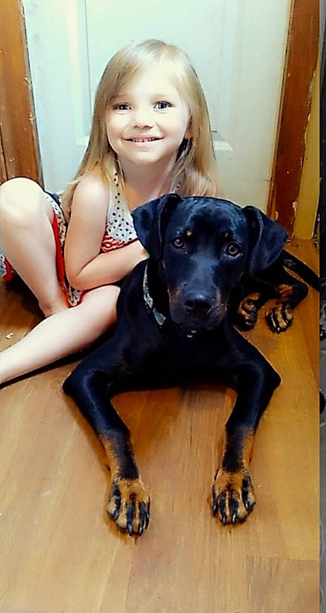 Sasha Fierce joined the competition — help win amazing prizes! carnivore, companion_dog, dog, dog_breed, dress, eye, fawn, flash_photography, fun, guard_dog, happy, head, human_leg, purple, sitting, smile, snout, thigh, toddler, working_animal