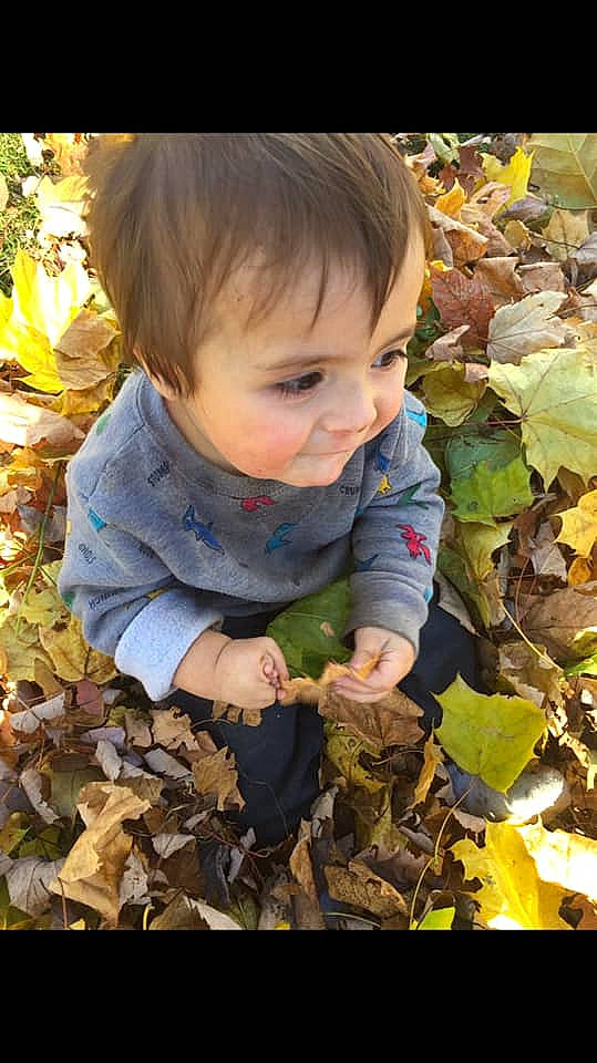 Cainan is registered to the contest to win money with this photo: autumn, baby, baby_toddler_clothing, child, deciduous, human, leaf, mouth, nose, overall, people_in_nature, person, toddler