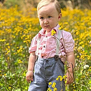 Xavier is registered to the contest to win money with this photo: child, toddler, boy, field, flowers, yellow_flowers, outdoor, nature, greenery, grass, summer, shorts, shirt, suspenders, face, portrait, standing, serious, daylight, person