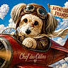 dog, aviator, airplane, pilot, goggles, scarf, vintage, leather_helmet, propeller, sky, clouds, heart_shaped_cloud, red_airplane, fur, animal, cute, adventure, banner, paw_print, costume