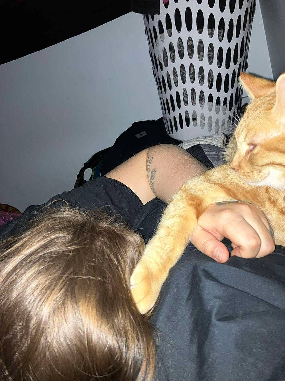 Professor joined the competition — help win amazing prizes! black, chair, comfort, dress, elbow, foot, gesture, glove, hand, human_body, human_leg, jewellery, joint, knee, leg, musical_instrument, nail, thigh, thumb, wrist