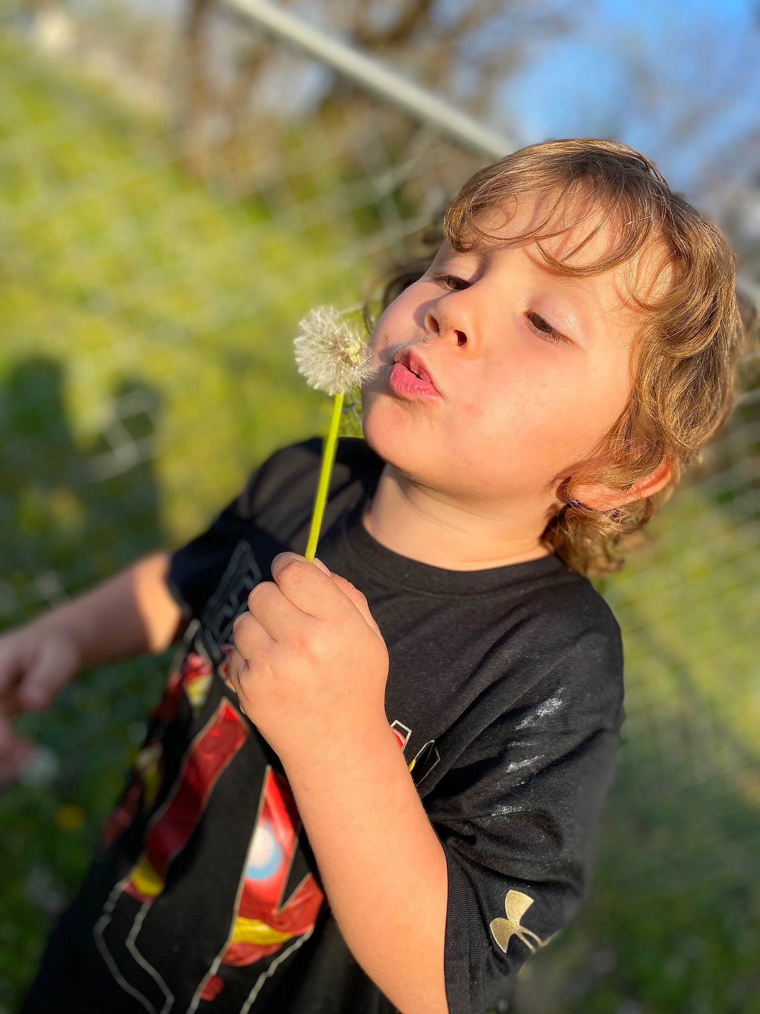 Triton is registered to the contest to win money with this photo: blond, brown_hair, child, eye, finger, flash_photography, flower, flowering_plant, fun, gesture, grass, hair, happy, head, people_in_nature, person, plant, shoulder, t_shirt, toddler