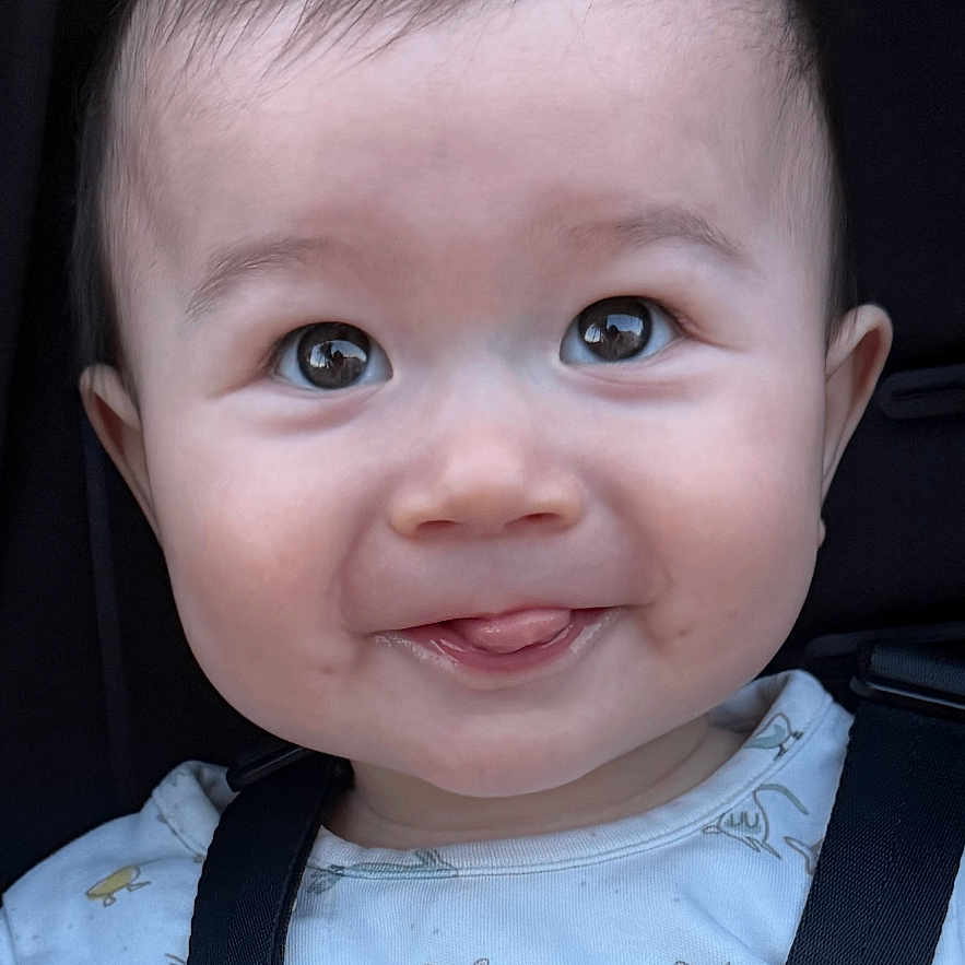 Elijah is registered to the contest to win money with this photo: adorable, animal_print, baby, baby_boy, baby_girl, car_seat, child, close_up, clothing, cute, eyes, face, hair, happy, infant, portrait, seatbelt, smiling, tongue_out, wild_hair