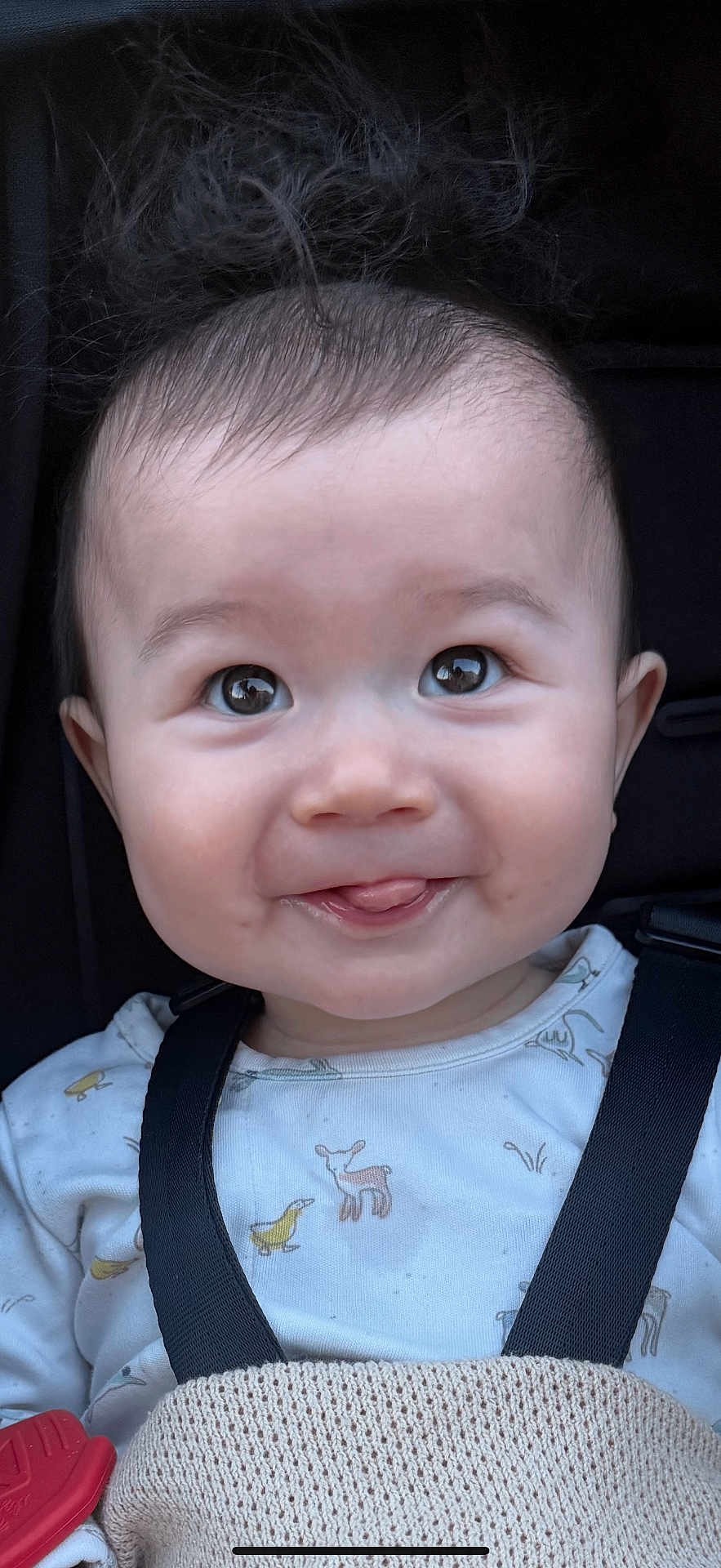 Elijah