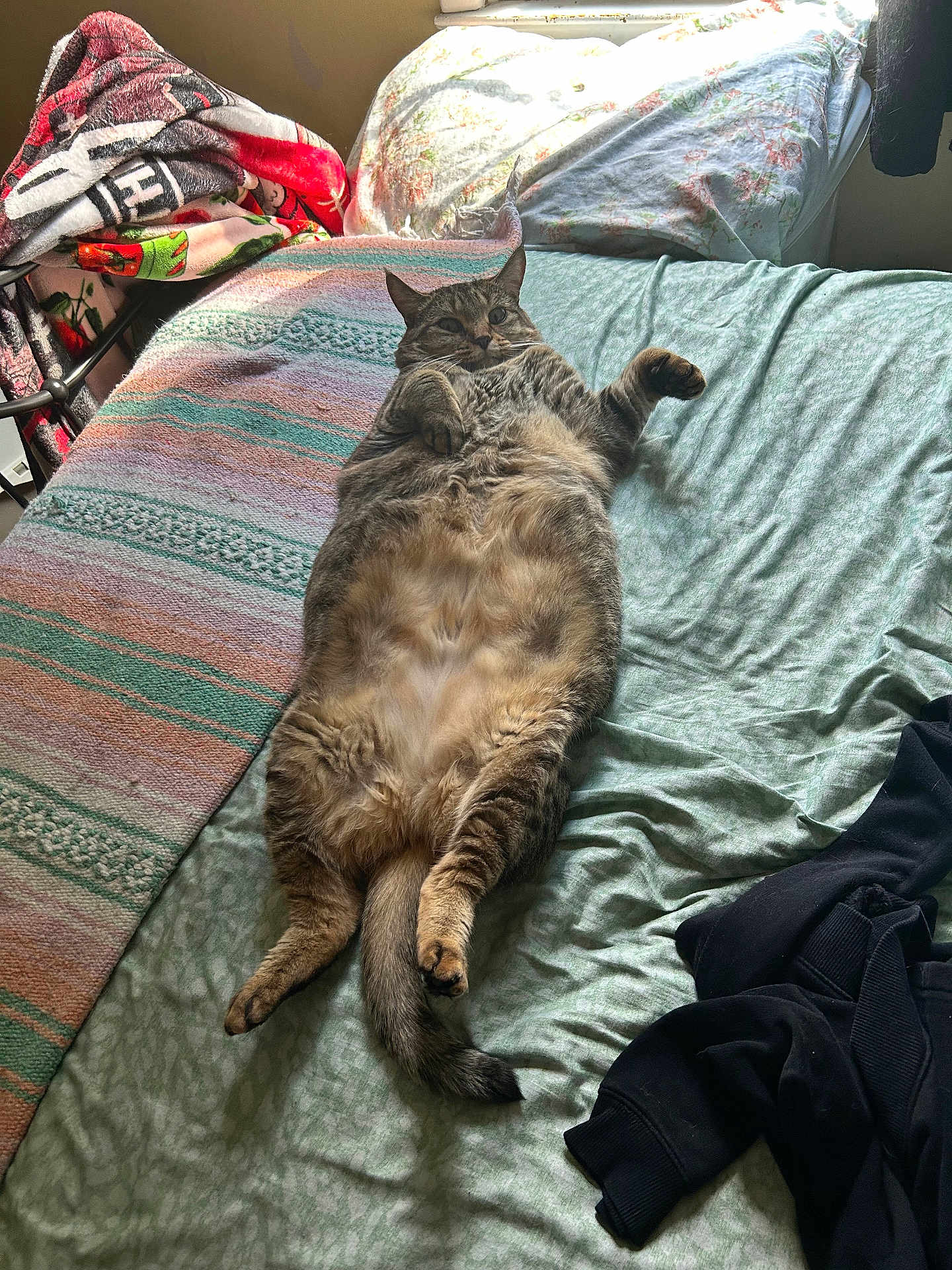 Luna