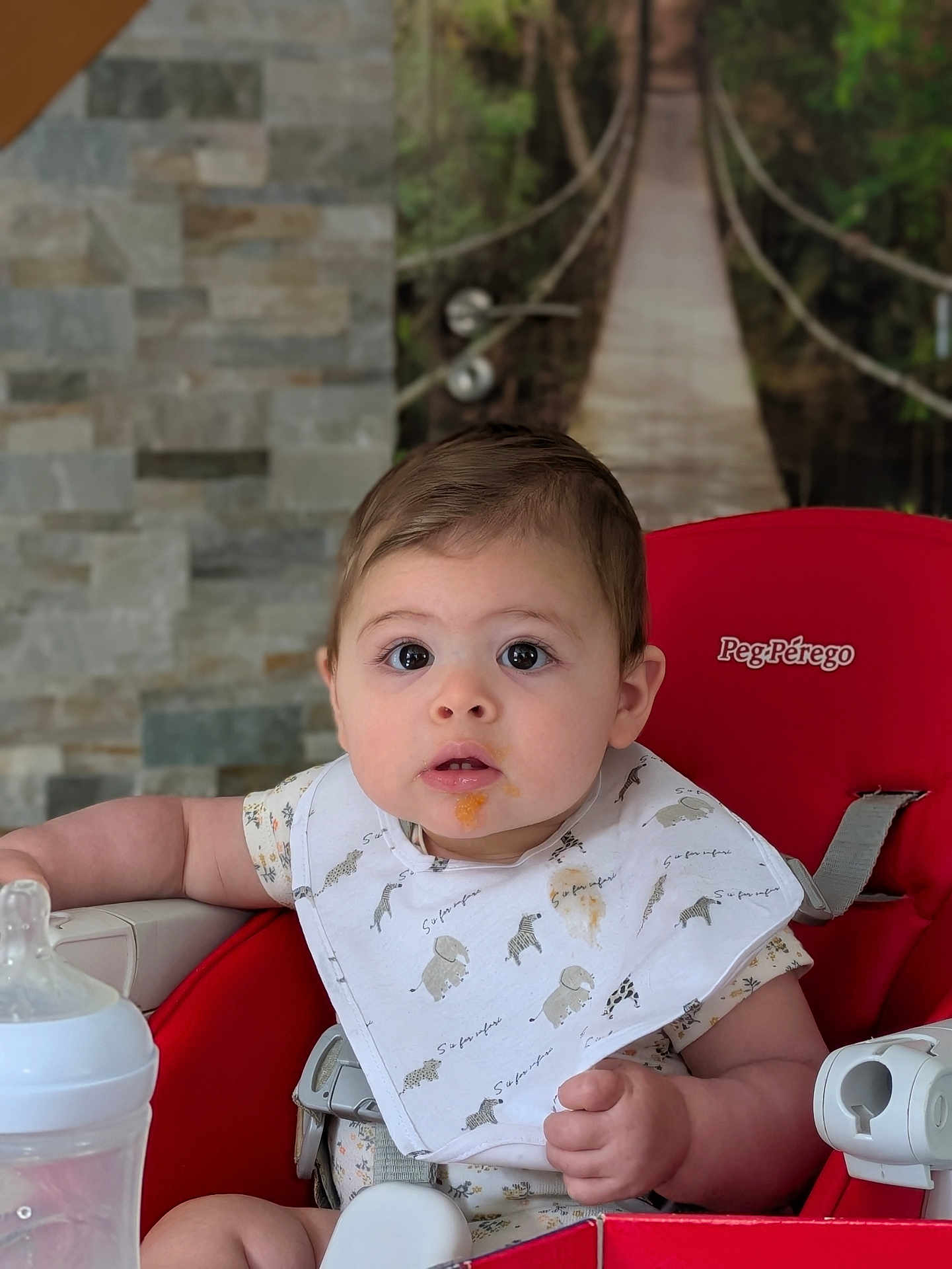 Lia participe au concours pour gagner de l'argent avec cette photo : baby, bib, high_chair, baby_food, bottle, red, face, child, feeding, curious, indoor, person, clothing, seat, expression, cute, young, infant, animal_print, background